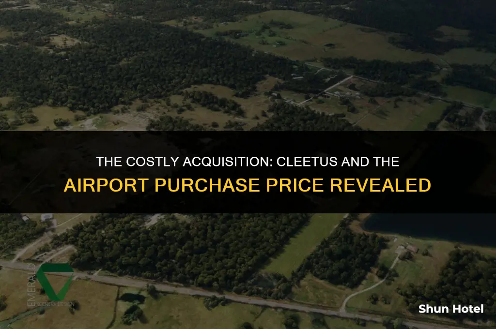 how much did cleetus pay for the airport