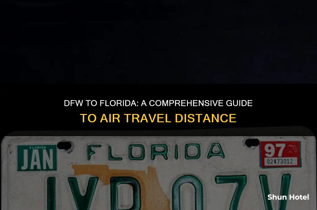 how much distancebetweendfw airport to foorida airport air distance