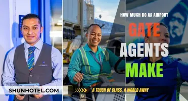 Decoding the Salary Secrets of AA Airport Gate Agents