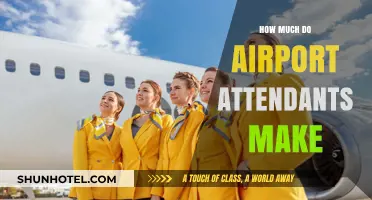 Unveiling the Salary Secrets of Airport Attendants: A Comprehensive Guide