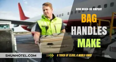 Unveiling the Salary Secrets of Airport Baggage Handlers