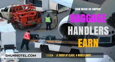 Unveiling the Salary Secrets of Airport Baggage Handlers
