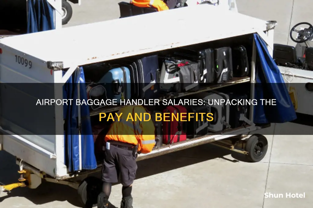 how much do airport baggage handlers get paid
