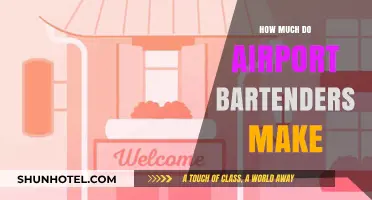 Unveiling the Earnings: A Day in the Life of an Airport Bartender