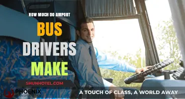 Unveiling the Salary Secrets of Airport Bus Drivers
