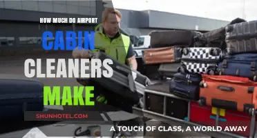 Unveiling the Earnings: Airport Cabin Cleaners' Salary Insights