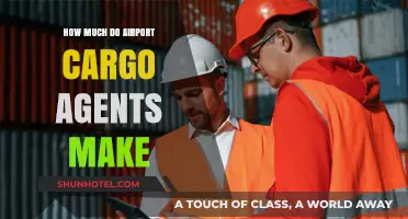 Unveiling the Salary Secrets of Airport Cargo Agents