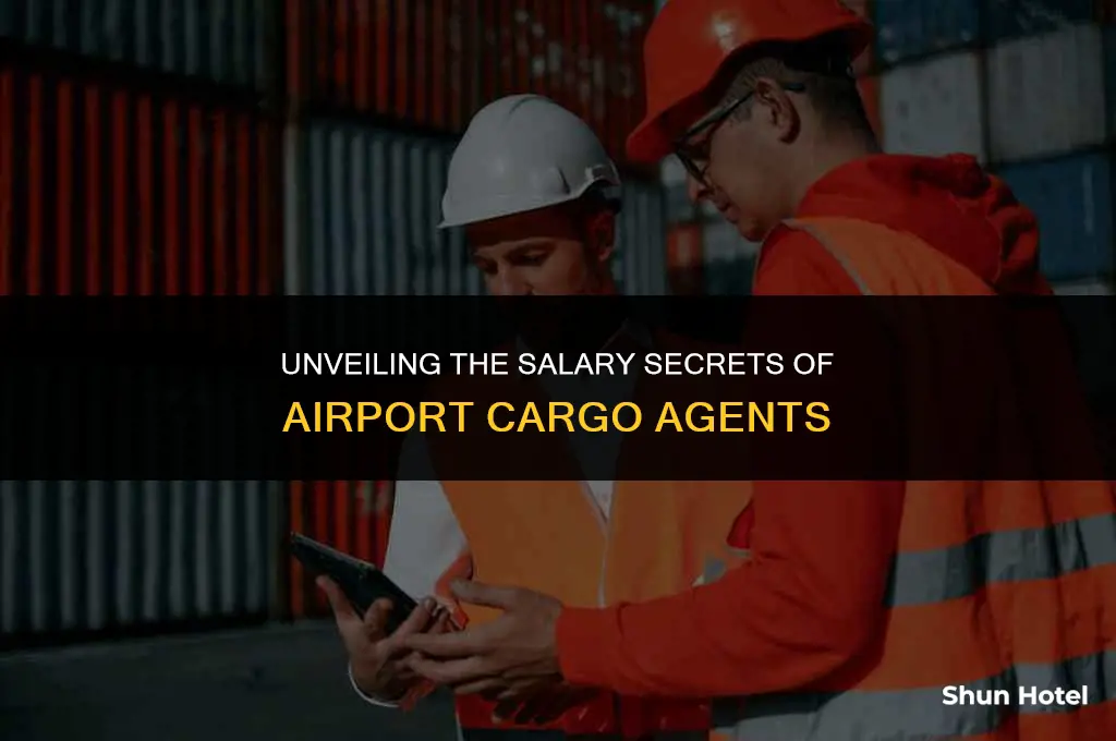 how much do airport cargo agents make