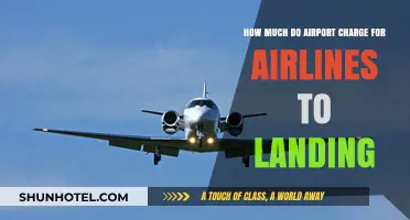 Decoding Airport Landing Fees: A Comprehensive Guide for Airlines
