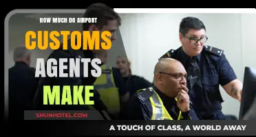 Unveiling the Salary Secrets of Airport Customs Agents