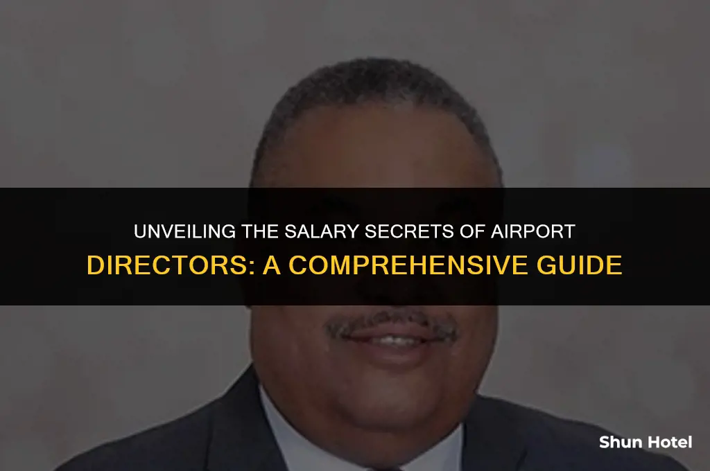 how much do airport directors make