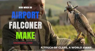 Unveiling the Lucrative World of Airport Falconry: A Comprehensive Guide