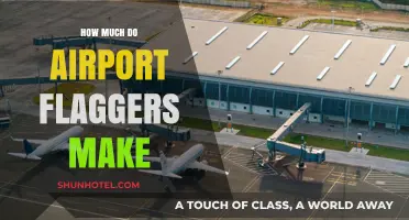 Unveiling the Earnings: A Comprehensive Guide to Airport Flagger Salaries