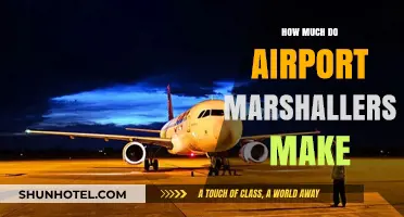 Decoding the Salary Secrets of Airport Marshals: A Comprehensive Guide
