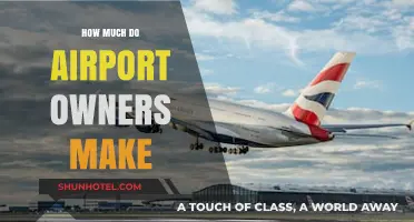 Unveiling the Profits: A Deep Dive into Airport Owners' Earnings