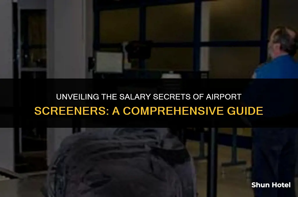 how much do airport screeners make