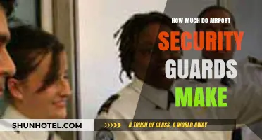 Unveiling the Salary Secrets of Airport Security Guards
