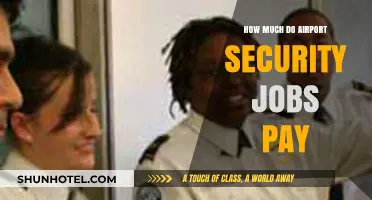 Unveiling the Salary Secrets of Airport Security Careers