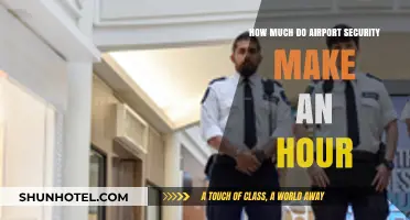 Hourly Wage Insights: Unveiling Airport Security's Pay Structure