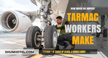 Unveiling the Earnings: A Day in the Life of Airport Tarmac Workers