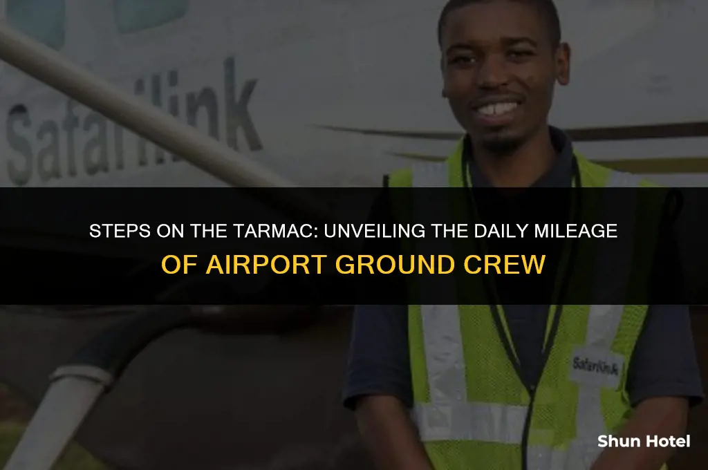 how much do airport workers walk on tarma