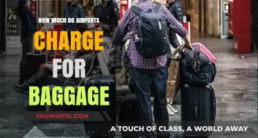 Decoding Airport Baggage Fees: A Comprehensive Guide for Travelers