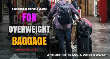 Excess Baggage Fees: What to Expect at Airports Worldwide