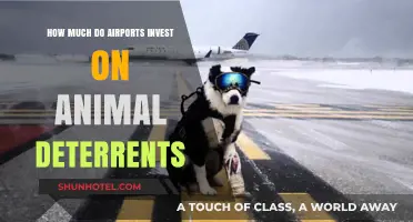 Safeguarding Skies: The Cost of Animal Deterrents at Airports