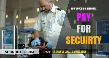 Securing the Skies: The Cost of Airport Security Measures