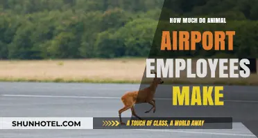 Decoding Salaries: What Do Animal Airport Employees Earn?