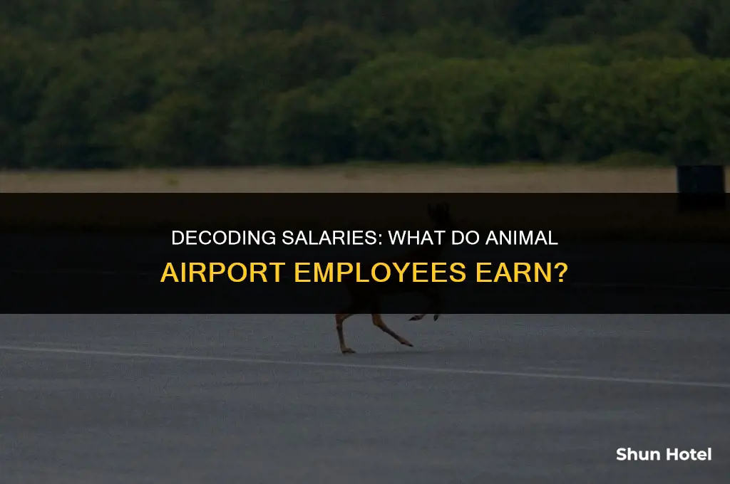 how much do animal airport employees make