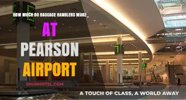 Pearson Airport Baggage Handlers: Unveiling Their Earnings and Job Insights