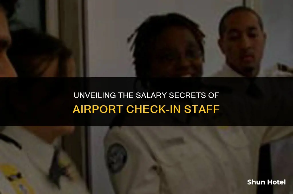 how much do check in staff at airport earn