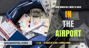 Airport Savings: How Much Cash Should You Carry?