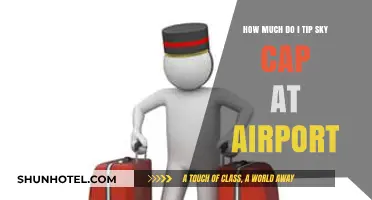 Sky Cap Gratuity: A Guide to Tipping at the Airport