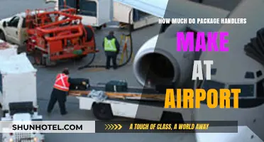 Unveiling the Salary Secrets of Airport Package Handlers