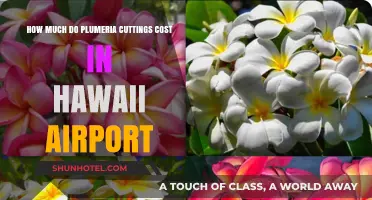 Exploring the Price of Plumeria Cuttings at Hawaii Airports