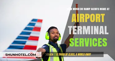 Unveiling Ramp Agent Salaries at Airport Terminal Services