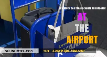 Ryanair Baggage Fees: What to Expect at the Airport