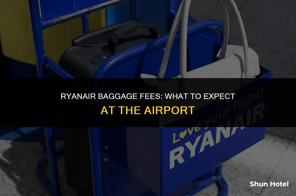how much do ryanair charge for baggage at the airport