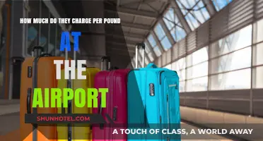 Airport Excess Baggage Fees: A Pound-by-Pound Breakdown