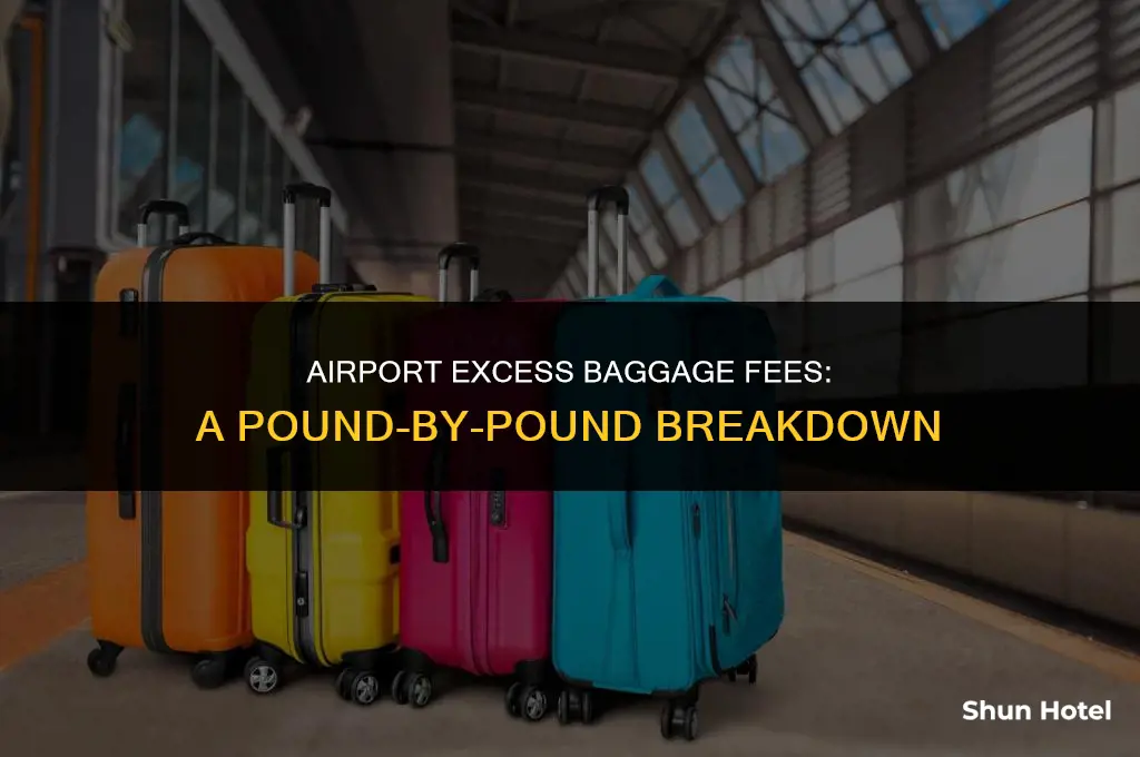 how much do they charge per pound at the airport