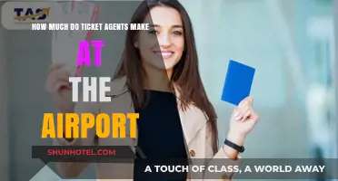 Unveiling the Salary Secrets of Airport Ticket Agents