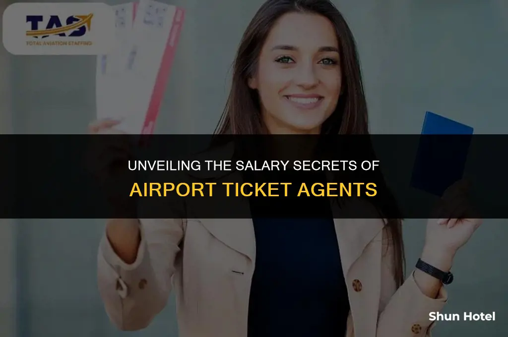 how much do ticket agents make at the airport