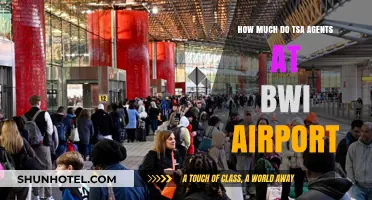 Salary Insights: TSA Agents at BWI Airport - What They Earn