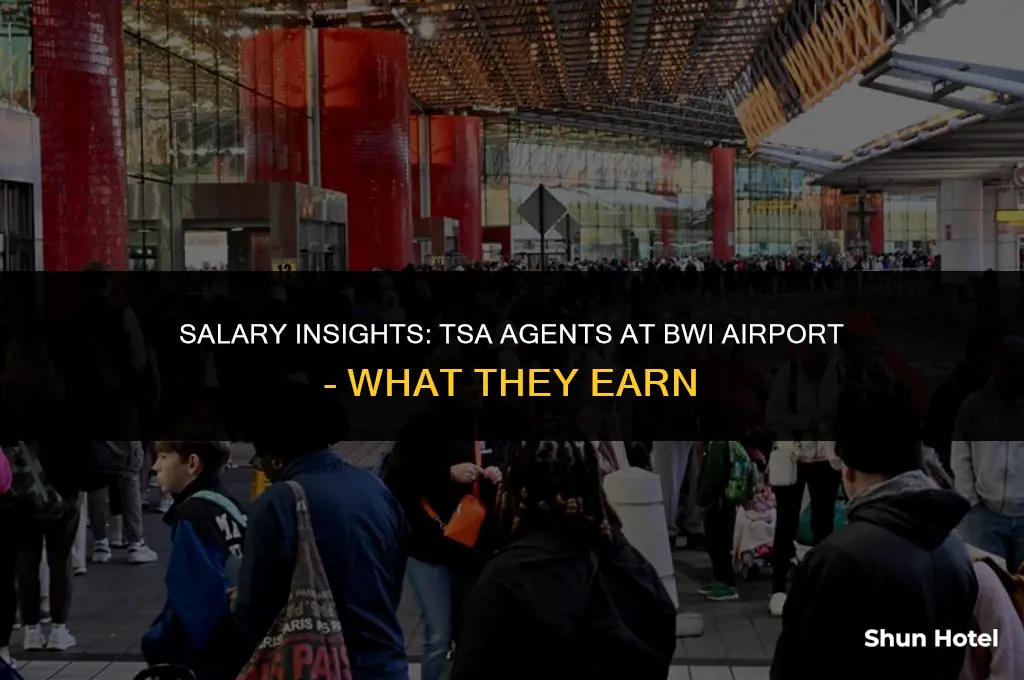 how much do tsa agents at bwi airport