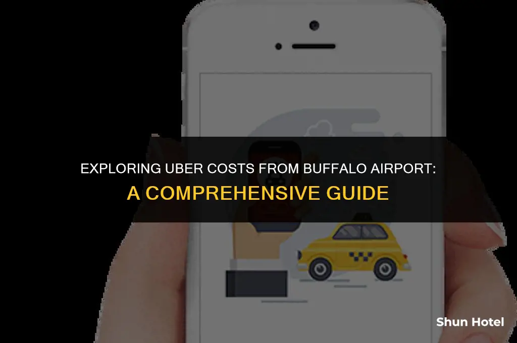 how much do uber cost from buffalo airport