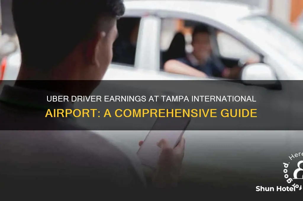 how much do uber drivers make at tampa international airport