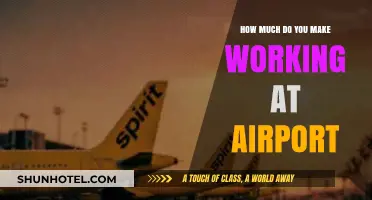 Salary Insights: Earning Potential at the Airport
