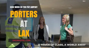LAX Porter Tips: How Much to Pay for Luggage Assistance?
